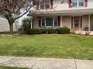 Sue O.'s turf care service result