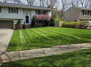 Rhonda Q.'s lawn care service result