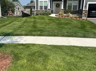 Robyn J.'s turf maintenance service result
