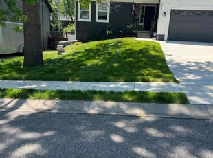 Terence B.'s Long Grass Cleanup service result