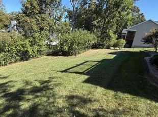 Dominique B.'s Weeding service result