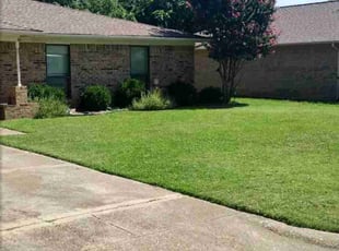Lynn E.'s grass maintenance service result