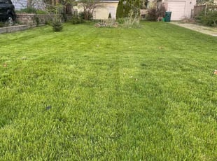 Margaret T.'s turf care service result
