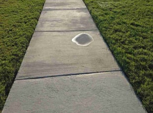 Patricia C.'s grass maintenance service result
