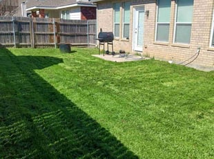 Edmon A.'s lawn service service result