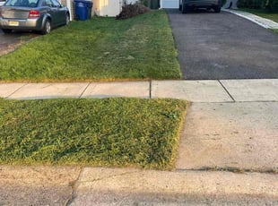Yvette M.'s turf maintenance service result