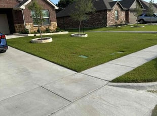 Gigi G.'s residential landscaping service result
