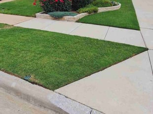 Waseem R.'s turf care service result