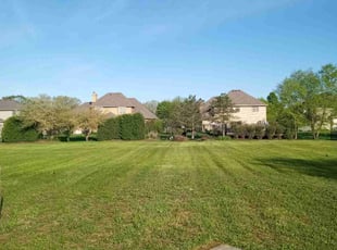 Aaron S.'s turf care service result
