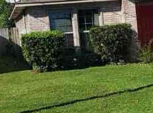 Debbie L.'s Bush Trimming service result