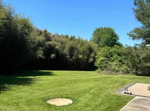 Claudio H.'s lawn service service result