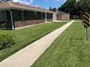 Daphne K.'s yard care service result