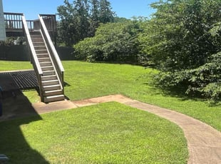 Shaconda D.'s lawn care services service result