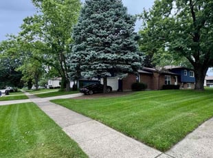 Bhanu R.'s lawn service service result