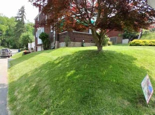 Jesse G.'s lawn care services service result