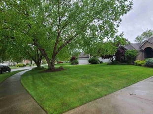 Helen K.'s turf maintenance service result