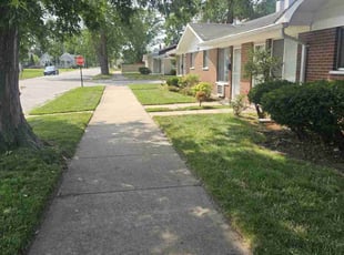 Scott M.'s lawn care service result