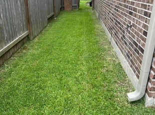 Gail W.'s lawn care service result