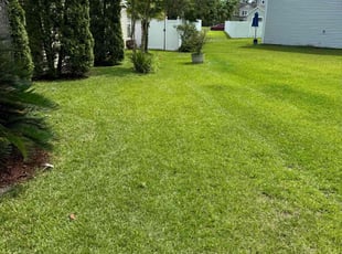 Phil P.'s lawn maintenance service result