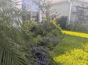 Latoyia C.'s lawn care services service result