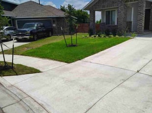 Nancy B.'s grass cutting service result
