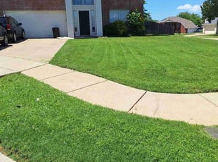 Monique A.'s turf care service result