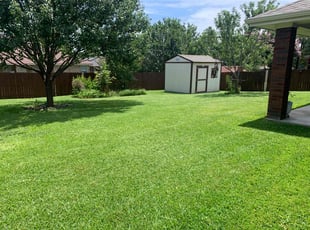 Brandon H.'s grass maintenance service result