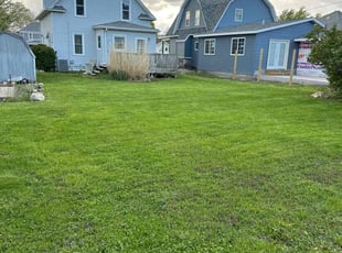 Vicki N.'s lawn maintenance service result