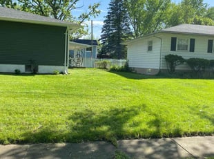 Ron D.'s turf maintenance service result