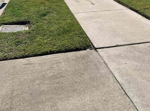 Melanie W.'s grass maintenance service result