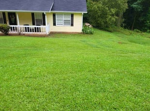 Reuben S.'s turf maintenance service result