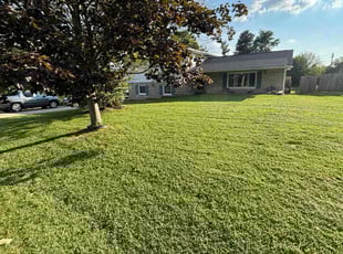 Kathy B.'s turf maintenance service result