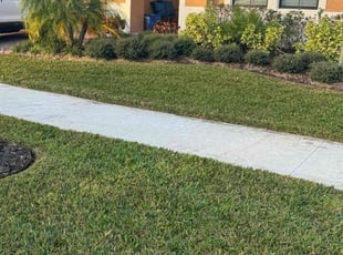 Nicole M.'s grass cutting service result