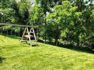 Chris K.'s grass maintenance service result
