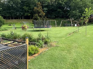 Douglas P.'s lawn care services service result