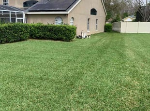 Dawn F.'s grass maintenance service result