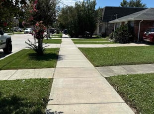 Rosa L.'s lawn service service result