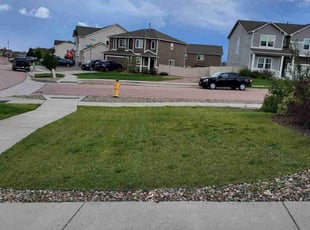 Jaqueline V.'s lawn maintenance service result