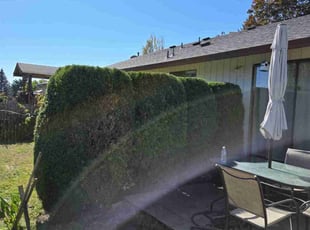 Des M.'s Cleanups service result