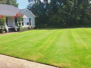 Jamese K.'s lawn care services service result