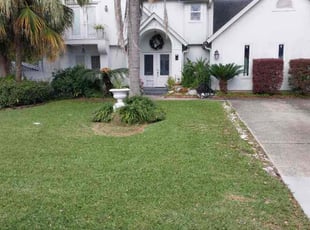 Jason J.'s lawn care services service result