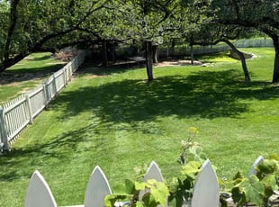 Albert I.'s grass cutting service result