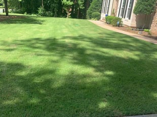 Jillian B.'s grass maintenance service result