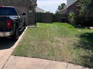 Jabari C.'s lawn care service result