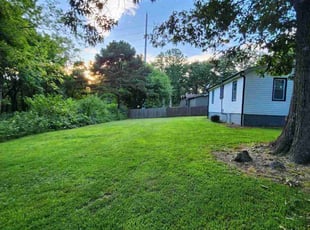 Jenine T.'s turf care service result