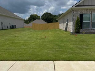 Trang V.'s lawn maintenance service result