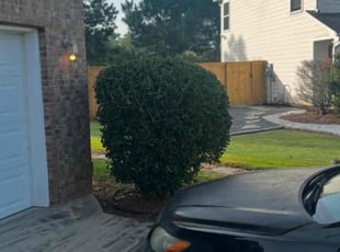 Rahni J.'s Bush Trimming service result