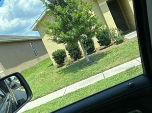 Karen S.'s turf maintenance service result