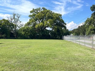Jason P.'s turf care service result