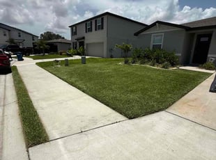 Tammy W.'s lawn care service result